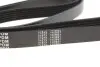 Фото Поліклиновий ремінь (6PK1750) Meyle (0500061750) зображення 3
