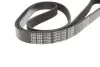 Фото Поліклиновий ремінь (6PK1750) Meyle (0500061750) зображення 4