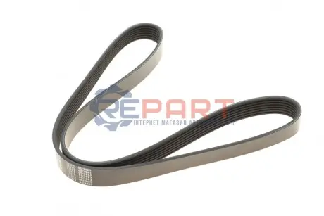 Ремінь генератора Renault Master/Opel Movano 2.2/2.5DCI 01- (7PK1145) MEYLE 0500071145 Купити в Україні