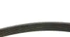 Фото Ремінь генератора Iveco Daily III/IV/VI 2.3 JTD 02- (7PK1325) Meyle (0500071325) зображення 2