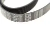Фото Поликлиновый ремень MEYLE (0500071635) изображение 4