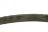 Фото Ремінь генератора Mazda 3/5/6 2.0 DI/CD 02-10 (8PK1226) Meyle (050 008 1226) зображення 2
