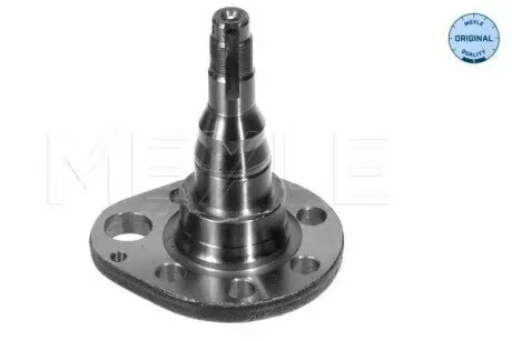 Маточина заднього колеса Прав задн SEAT AROSA, CORDOBA, CORDOBA VARIO, IBIZA II, TOLEDO I VW GOLF II, GOLF III, PASSAT B3/B4, POLO, POLO III, POLO III CLASSIC, VENTO 1.0-Electric 06.86-06.04 Meyle 1005010036