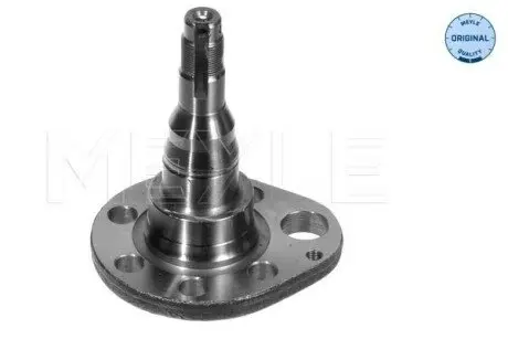 Маточина заднього колеса Лів задн SEAT AROSA, CORDOBA, CORDOBA VARIO, IBIZA II, INCA, TOLEDO I VW GOLF II, GOLF III, PASSAT B3/B4, POLO, POLO III, POLO III CLASSIC, VENTO 1.0-Electric 06.86-06.04 Meyle 1005010037