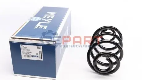 Пружина (задня) Audi A6/VW Passat 97-05 MEYLE 1007390029 Купити в Україні