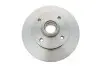 Диск гальмівний (задній) VW Golf/Passat 83-02 (226x10) 1155231005