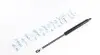 Фото Амортизатор кришки багажника BMW 5 (E34) 88-95 Meyle (3401610310) зображення 1