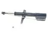 Амортизатор (передній) Citroen Jumpy/Fiat Scudo/Peugeot Expert 07- (R) 40266230020
