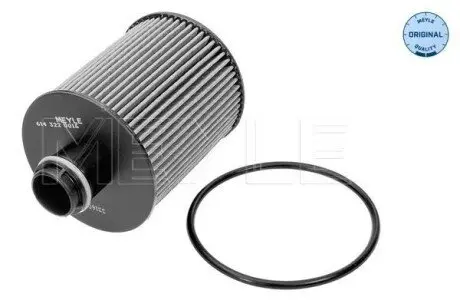 Фільтр масляний Chevrolet Aveo/Citroen Nemo/Fiat Doblo/Opel Astra J/Combo 1.3D-2.0D 05 Meyle 6143220016 Купити в Україні