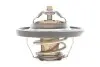 Фото Термостат Opel Ascona C/Astra F/G/Combo/Corsa A/B/Kadett E/Vectra B (87°C) 1.0-1.6 81- -> Термостат Opel Ascona C/Astra F/G/Combo/Corsa A/B/Kadett E/Vectra B (87°C) 1.0-1.6 81- Meyle (628 287 0008) изображение 5