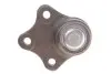 Фото Опора кульова (передня/знизу) Ford Fusion/Fiesta V 01-12 Meyle (7160100013) зображення 3