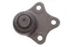 Фото Опора кульова (передня/знизу) Ford Fusion/Fiesta V 01-12 Meyle (7160100013) зображення 4