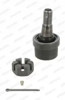 Фото 1 — Кульова опора, передня вісь MOOG (AMGK3185) Фото Кульова опора, передня вісь MOOG (AMGK3185) зображення 1