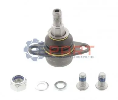 Фото 1 — Опора кульова (передня/знизу) BMW 3 (E90/E91/E92) 05-13/X1 (E84) 09-15 MOOG (BMBJ15455) Фото Опора кульова (передня/знизу) BMW 3 (E90/E91/E92) 05-13/X1 (E84) 09-15 MOOG (BMBJ15455) зображення 1