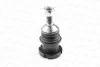 Опора кульова (задня/знизу) MB M-class (W164) 05 MOOG (MEBJ5598) зображення 1