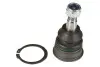 Фото Шарова опора Лів/Прав (нижн передн) NISSAN PIXO SUZUKI ALTO VII, CELERIO, SWIFT IV, SWIFT V 1.0-1.6 01.09 MOOG (NIBJ12582) зображення 1