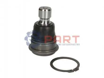 Опора кульова (передня/знизу) Nissan Qashqai/X-Trail 07-/Murano 03- (d=20mm) MOOG NIBJ4954 Купити в Україні