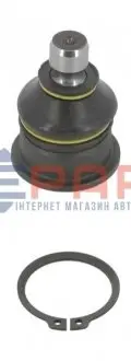 Шарова опора Лів/Прав (нижн передн) (діаметр конуса 16mm) RENAULT MEGANE II, SCENIC I 1.4-2.0 11.00-02.08 MOOG REBJ2094 Купити в Україні