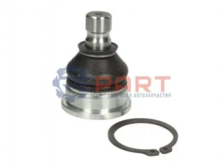 Шарова опора Лів/Прав (нижн передн) (діаметр конуса 16,5mm) CHEVROLET MATIZ, SPARK FIAT SEDICI OPEL AGILA B SUZUKI LIANA, SPLASH, SWIFT III, SWIFT IV, SX4 0.8-2.0D 07.01 MOOG SZBJ5080