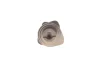 Розподільчий вал ((EN) cast iron) AUDI A3, A4 B7 SEAT ALHAMBRA, ALTEA, ALTEA XL, CORDOBA, IBIZA III, IBIZA IV, IBIZA IV SC, LEON, TOLEDO III SKODA FABIA II, OCTAVIA II 1.9D/2.0D 03.00-05.11 MOTIVE (T2616) зображення 3