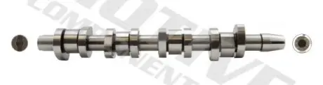 Розподільчий вал AUDI A4 B6, A4 B7 VW CADDY III, GOLF V 1.9D/2.0D 01.04-08.10 MOTIVE T2620 Купити в Україні