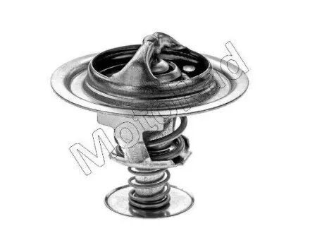 Термостат Hyundai Santa Fe 01- (82°C) MOTORAD 30282K Купити в Україні