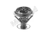 Термостат системи охолодження (88°C) FORD COUGAR, MAVERICK, MONDEO I, MONDEO II, MONDEO III JAGUAR S-TYPE II, X-TYPE I, XF I, XJ MAZDA MPV II, TRIBUTE 2.5/3.0 07.94 MOTORAD (354-88K) зображення 2