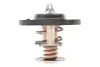 Термостат Ford Transit Courier/Fiesta/Focus/Mondeo 1.0/1.1 14- (91°C) 36391K