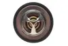 Фото Термостат системи охолодження (77°C) FORD MAVERICK NISSAN 100NX, 200SX, 240SX, 300ZX, ALMERA I, ALTIMA, AVENIR, NAVARA, PICK UP, PRAIRIE LIBERTY, PRAIRIE PRO, PRIMERA, SENTRA V 2.0-3.0 01.84 MOTORAD (37377K) зображення 4