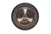 Фото Термостат Ford Fiesta/Focus/Mondeo/Volvo S40/V50 1.4/1.6 i/Ti 98- (82C) MOTORAD (531-82K) изображение 4