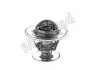 Термостат системи охолодження (82°C) SEAT CORDOBA, IBIZA II, TOLEDO I VW GOLF III 2.0 08.92-08.99 MOTORAD (591-82K) зображення 1