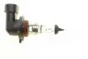 Фото Автолампа H10/9145 12V 42W PY20d (Американские типы) NARVA (480953000) изображение 6