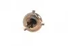Фото Автолампа H4 12V 60/55W P43t Standard NARVA (488813000) зображення 4