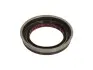 Фото Сальника вала роздатки CADILLAC CT6 CHRYSLER ASPEN DODGE DURANGO, NITRO JEEP CHEROKEE, COMMANDER, GRAND CHEROKEE III, GRAND CHEROKEE IV, LIBERTY 2.8-6.4 10.04 National (710694NAT) зображення 2