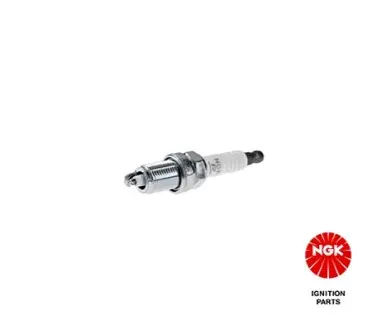 Свічка запалювання NGK 3869