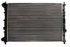Радиатор, охлаждение двигателя NISSENS (68802) изображение 1