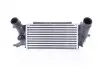 Інтеркулер FORD ECOSPORT, FIESTA VII 1.0/1.0H 10.13 NISSENS (961486) зображення 2