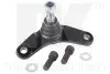 Фото Опора кульова (передня/знизу/R) Mini Cooper 01-06 NK (5041517) зображення 1