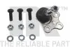 Фото Шаровая опора передняя л/п Renault Laguna 2.0 16V 07-/2.0 Dci 08- NK (5043943) изображение 1