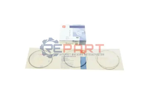 Кільця поршневі Fiat Ducato 2.3D 06- (88.00mm/STD) (2.5-2-2.5) = 8920640000 NPR 120 020 0034 00 Купити в Україні