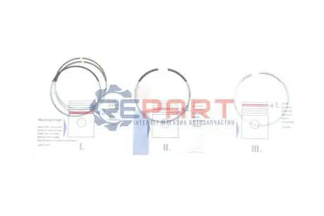 Кільця поршневі Chevrolet Aveo/Opel Insignia 1.4 11- (72.50mm/STD) (1.2-1.2-2) NPR 120 035 0008 00 Купити в Україні