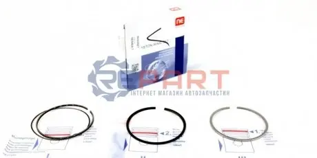 Кільця поршневі Renault Kangoo 1.5dCi 05- (76.50mm/+0.5) (2-2-2.5) = 8938135000 NPR 120038001421 Купити в Україні