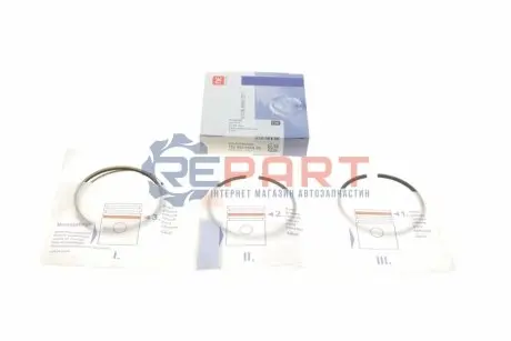 Кільця поршневі VW Crafter/LT/T4/T5 2.5TDI (81.00mm/STD) (2.5-2-3) = 8950090000 NPR 120050000800 Купити в Україні