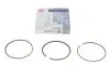 Кільця поршневі VW T4 1.9TD/2.4D 90-03 (80.00mm/+0.5) (1.75-2-3) = 8950485000 120050003821