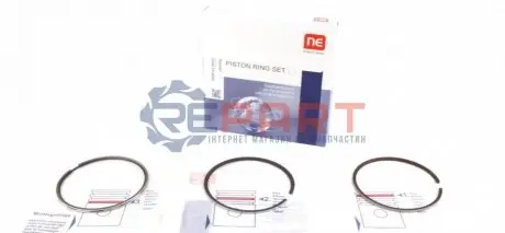 Кільця поршневі MB Vario 4.3TDI (102.00mm/STD) (3-2.5-4) = 8910830000 NPR 120100002100 Купити в Україні