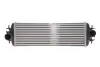 Радіатор інтеркулера Renault Trafic 1.9/2.5dCi 01- 30875