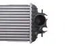 Фото Радіатор інтеркулера Renault Trafic 1.9/2.5dCi 01- NRF (30875) зображення 4