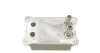 Фото Радіатор масляний Ford Transit 2.0/2.4DI/2.0TDCi 00-06 (теплообмінник) NRF (31071) зображення 4