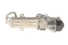 Клапан EGR (модуль з радіатором) AUDI A3, Q3, TT SEAT ALHAMBRA, ALTEA, ALTEA XL, IBIZA IV, IBIZA IV SC, IBIZA IV ST, LEON SKODA OCTAVIA II, SUPERB II, YETI VW BEETLE 1.4D/1.6D/2.0D 05.03-12.22 NRF (48213) зображення 7