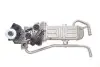 Фото Клапан EGR (модуль з радіатором) SEAT IBIZA IV, IBIZA IV SC, IBIZA IV ST SKODA FABIA II, ROOMSTER, ROOMSTER PRAKTIK VW POLO V 1.2D 10.09-05.15 NRF (48215) зображення 1